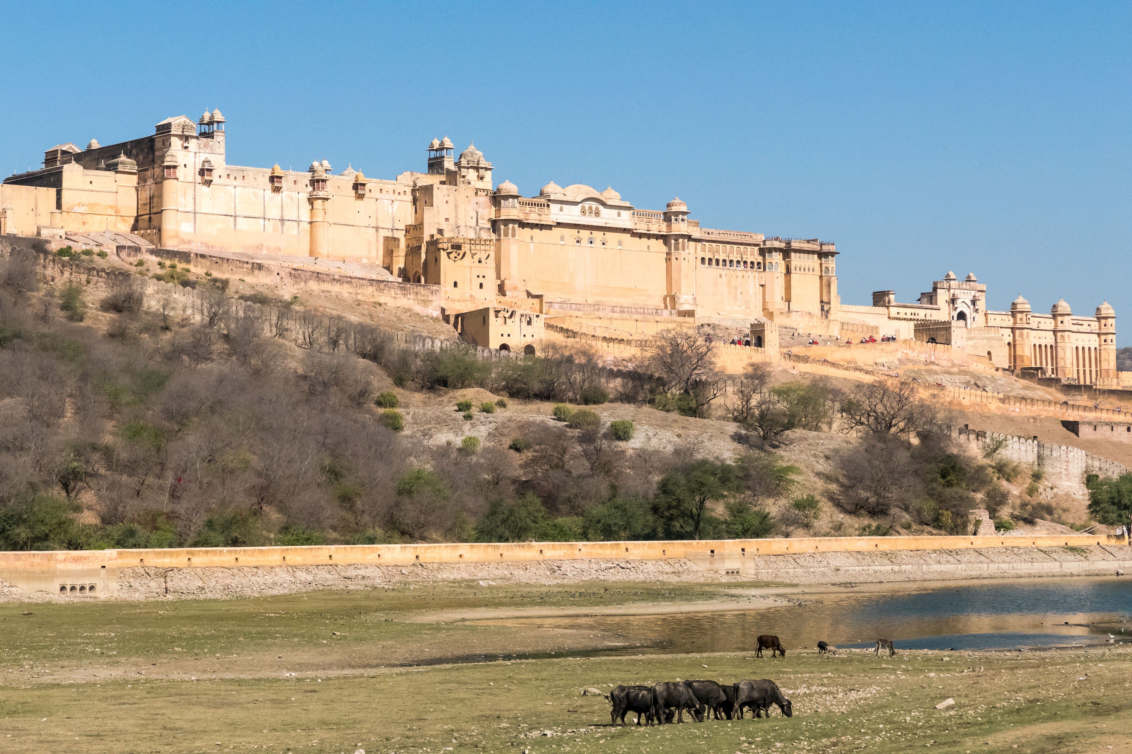 63 AmberFort 1